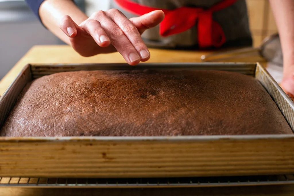 Backed Sheet cake